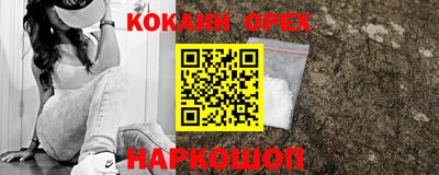 гашик Дубна