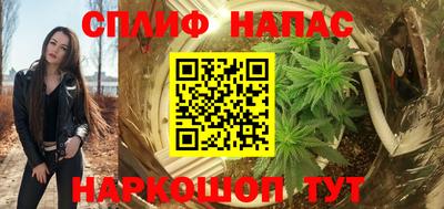 гашик Дубна